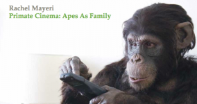 Arts Catalyst ebook on Apes as Family