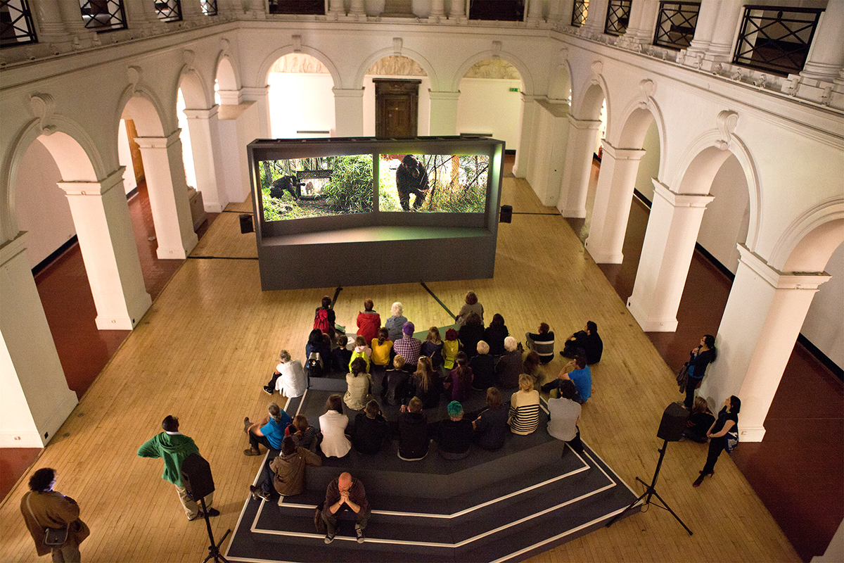 Apes as Family Installation